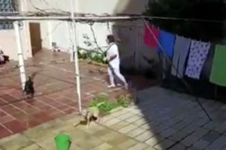 Videos WhatsApp: Com a natureza não se brinca