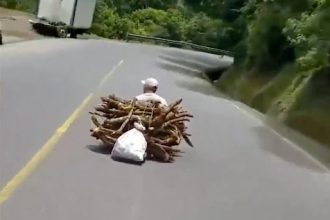 Videos: Tudo estava normal na pescaria