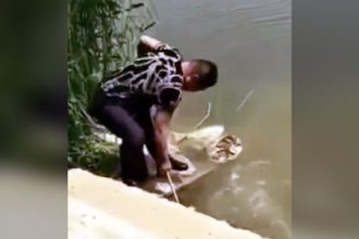 Videos: Tudo estava normal na pescaria