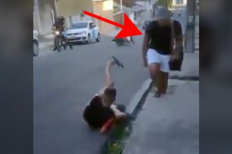 Videos WhatsApp: Como tirar casa de marimbondo