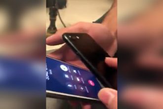 Videos WhatsApp: Pensa numa baleia sacana