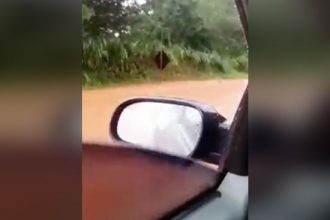 Videos WhatsApp: Pensa numa baleia sacana