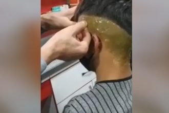 Videos WhatsApp: Os cara só na broderagem