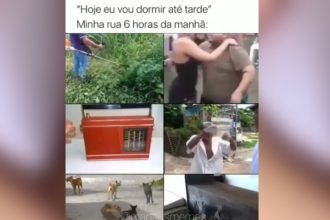 Videos WhatsApp: O homem morando sozinho