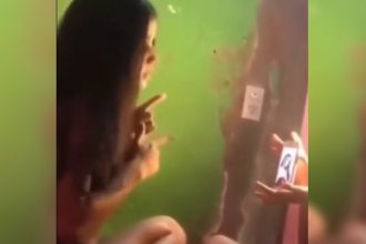 Videos Engraçados: Quem não tem cão, caça com gato