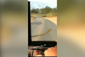 Videos WhatsApp: O homem morando sozinho