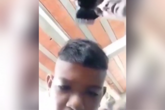 Zueira: Briga do século