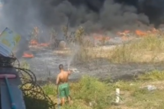 Videos: Sem um pingo de vergonha