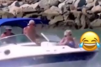 Videos Engraçados: Me sirva, humano