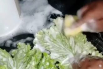 Videos: Só os melhores lanches