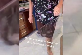 Videos: Cachorro interesseiro