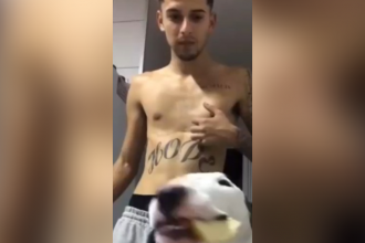 Baixar video Não confie no seu cachorro