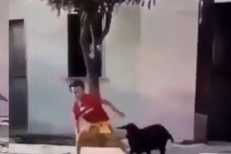 Baixar video Botou a criança pra correr