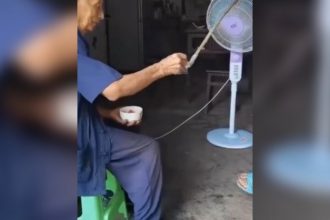 Videos: Profissional bom mesmo é assim