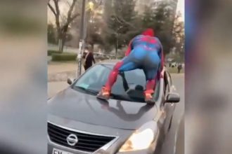 Baixar video Homem aranha do popozão