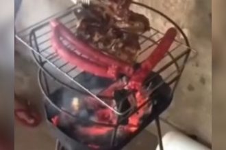 Baixar video Derrubando o churrasco