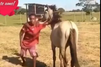 Videos Engraçados: Wilton, o adestrador de cavalos