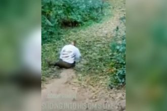 Videos WhatsApp: Quando você perde a vassoura