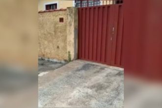 Animais: A tartaruguinha pensou que ia jantar
