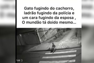 Baixar video É muita coisa acontecendo num vídeo só