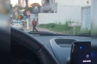 Animais: Cachorro que da prejuízo