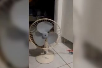 Baixar video Toda casa tem um ventilador desse