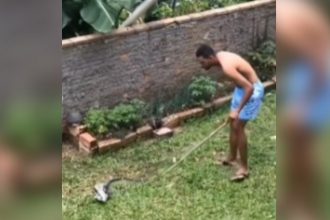 Animais: Qual é o lance do papagaio?