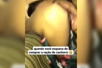 Animais: Quem você é numa briga?