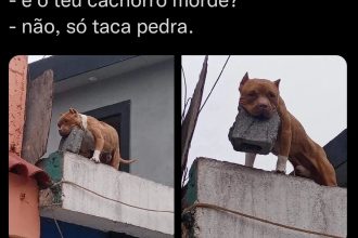 Baixar imagem Seu cachorro morde?