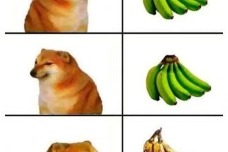 Baixar imagem O mistério da banana