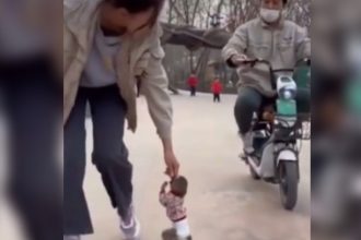 Baixar video Macaquinho pegando carona