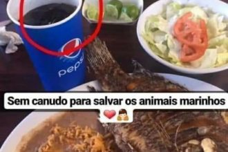 Baixar imagem Proteger os animais marinhos