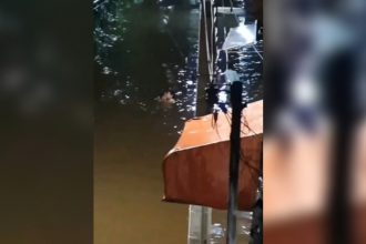 Baixar video Amor em tempos de enchente