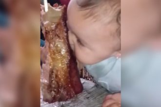 Baixar video Eu na churrascaria