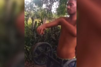 Videos Engraçados: O gato parece possuído