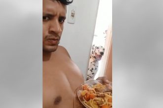 Animais: O que aconteceu aqui?