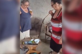 Baixar video Como a mãe ta no baile