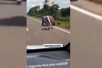 Baixar video O maridão na correria