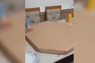 Baixar video Pizza pequena, só pra família