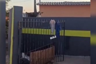 Zueira: Um cachorro fofoqueiro de verdade