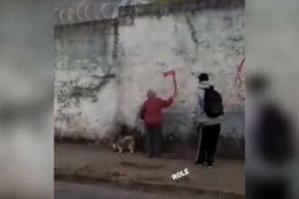 Baixar video Que isso vó, olha a polícia