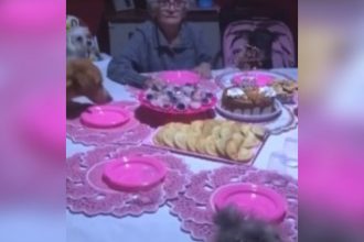 Videos Engraçados: A mãe perdendo a paciência