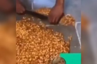 Videos Engraçados: O docinho do São João