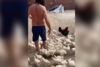 Videos Engraçados: O que tinha na garrafa?