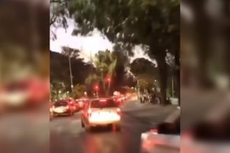 Videos Engraçados: O cachorro pistolinha