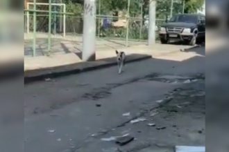 Zueira: Quando a semana começa