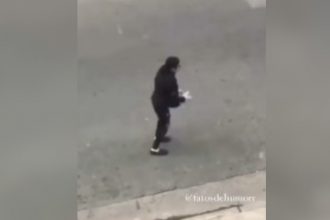 Zueira: O Michael Jackson ta vivo