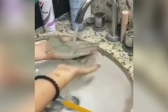 Videos Engraçados: Quando a semana começa