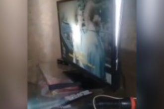 Videos Engraçados: Em busca de resultados rápidos