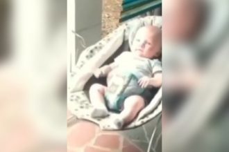 Bebês: O vídeo mais fofo do dia